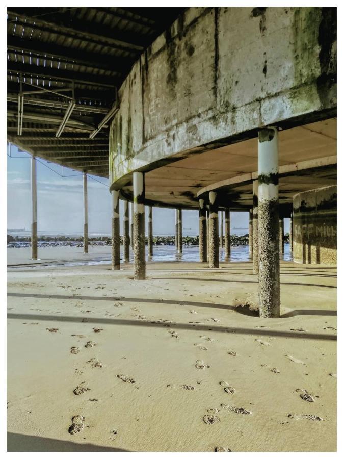 Studionusi Blankenberge Dış mekan fotoğraf