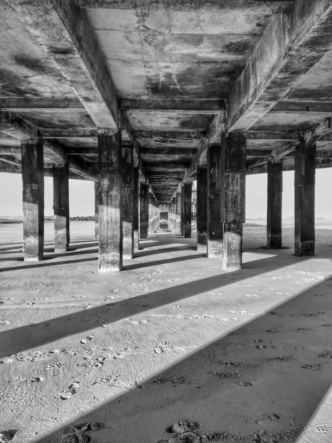 Studionusi Blankenberge Dış mekan fotoğraf