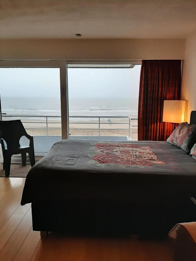 Studionusi Blankenberge Dış mekan fotoğraf