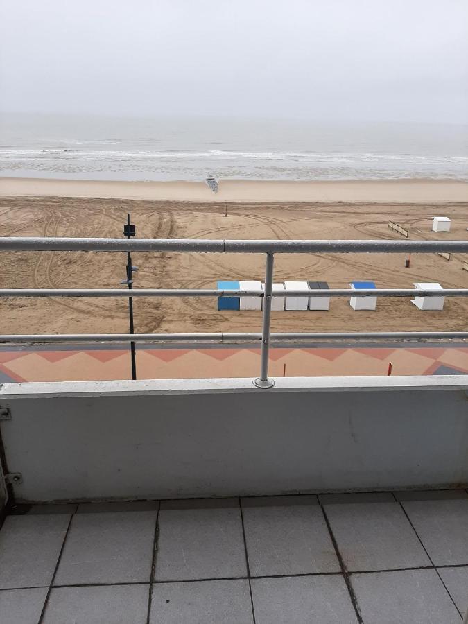 Studionusi Blankenberge Dış mekan fotoğraf