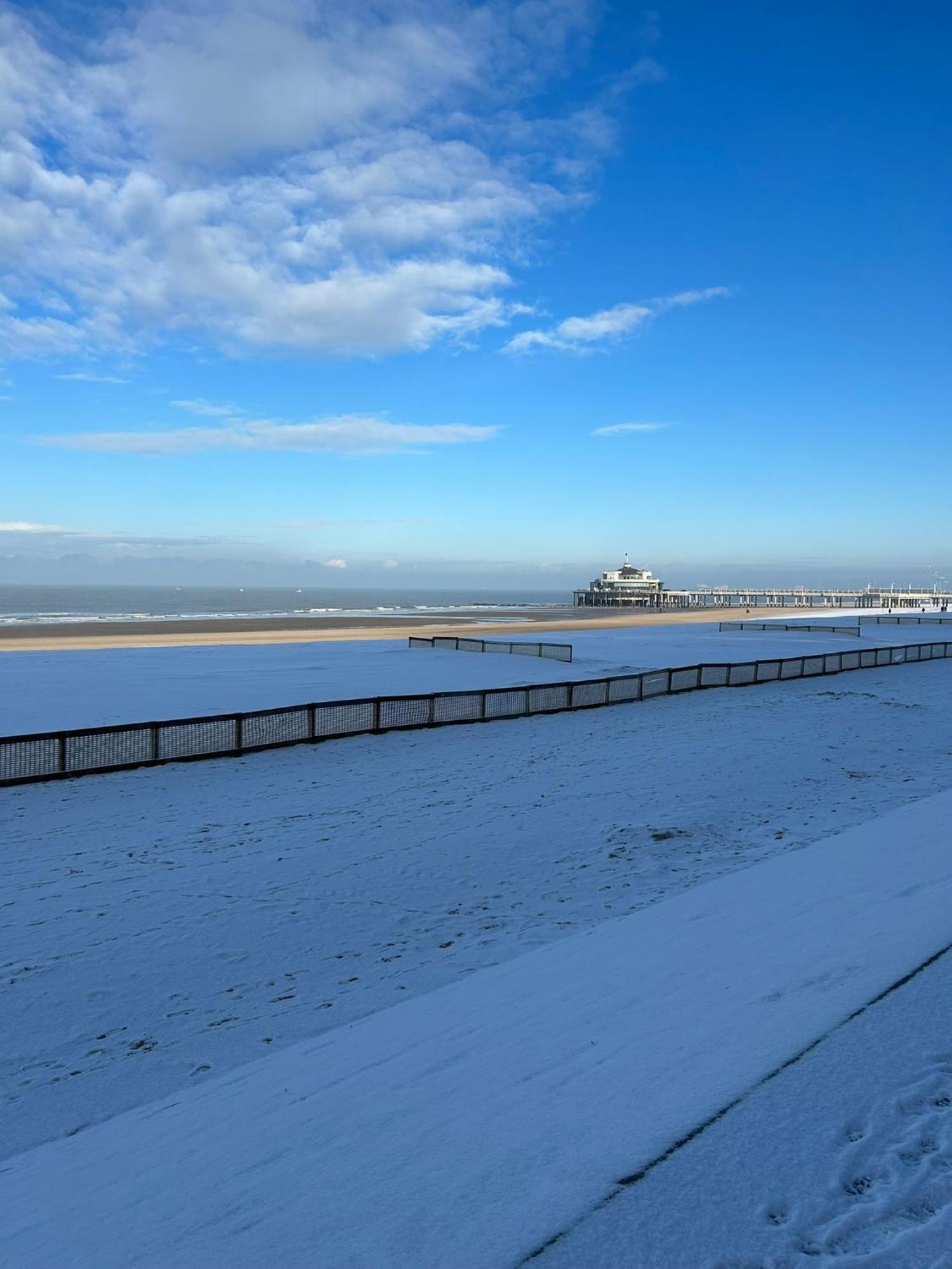 Studionusi Blankenberge Dış mekan fotoğraf